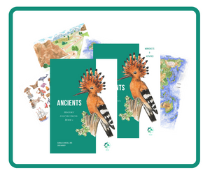 History Connections Primary Grades - Ancients- Basic Package